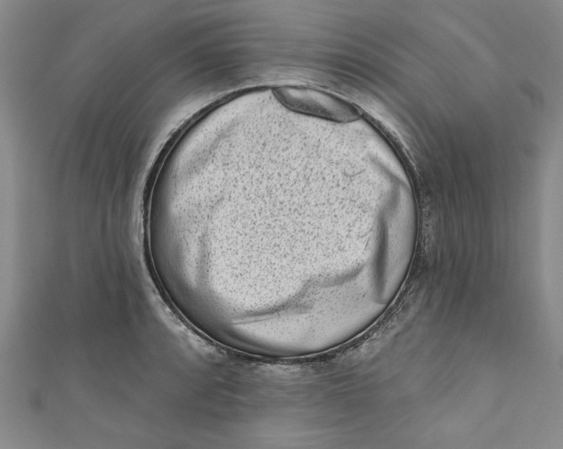 X0000110861088200907021411