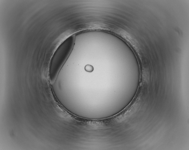 X0000110861089200907021411