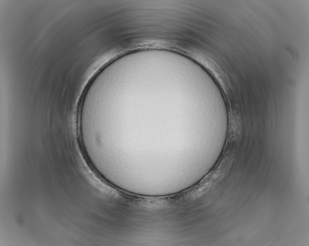 X0000110861090200907021411