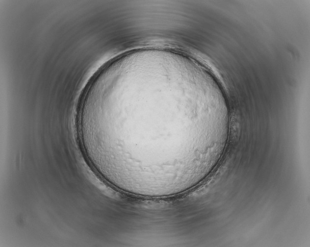 X0000110861091200907021411