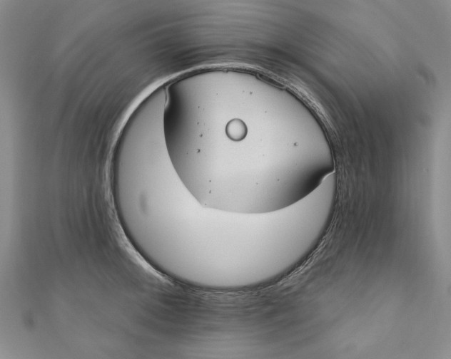 X0000110861092200907021411