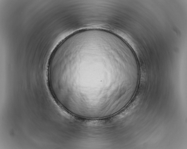 X0000110861093200907021411