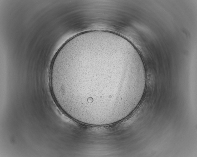 X0000110861094200907021411