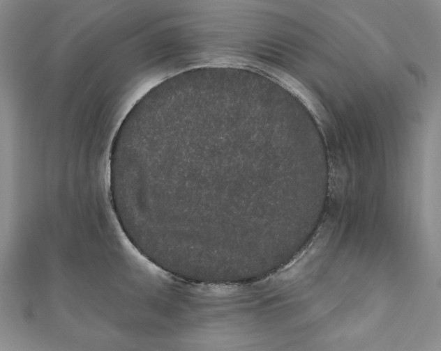 X0000110861095200907021411