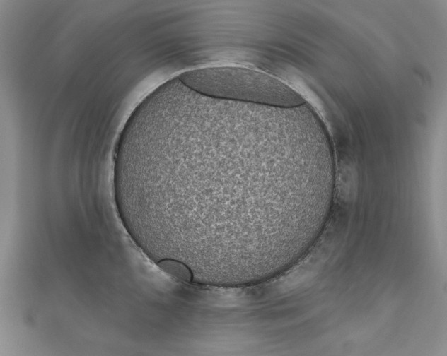 X0000110861096200907021411