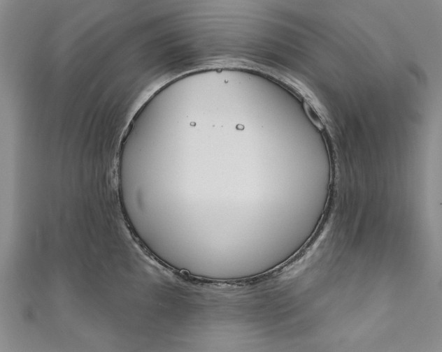 X0000110861097200907021411