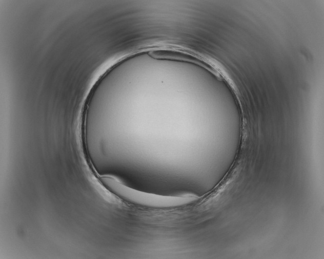 X0000110861098200907021411