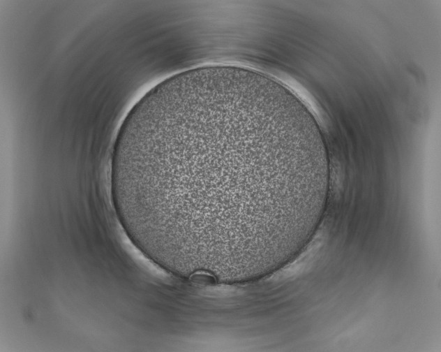 X0000110861100200907021411