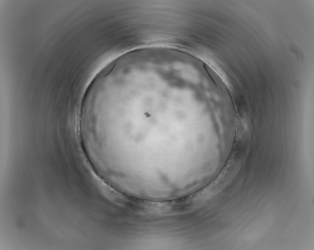 X0000110861101200907021411