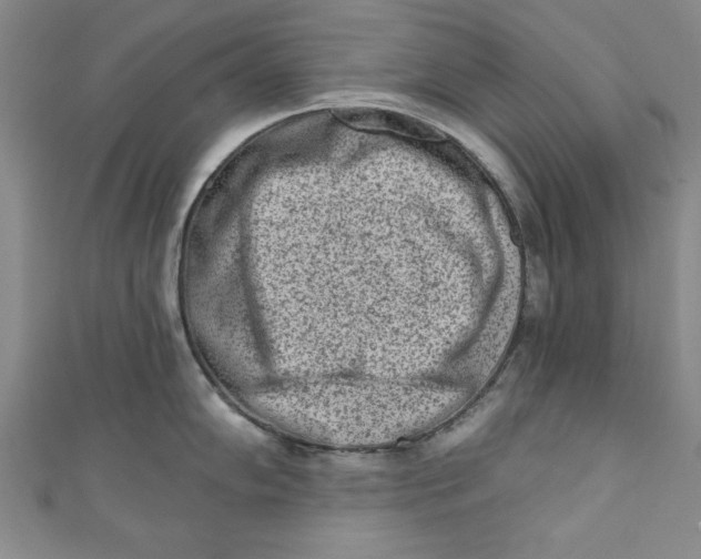 X0000110861102200907021411