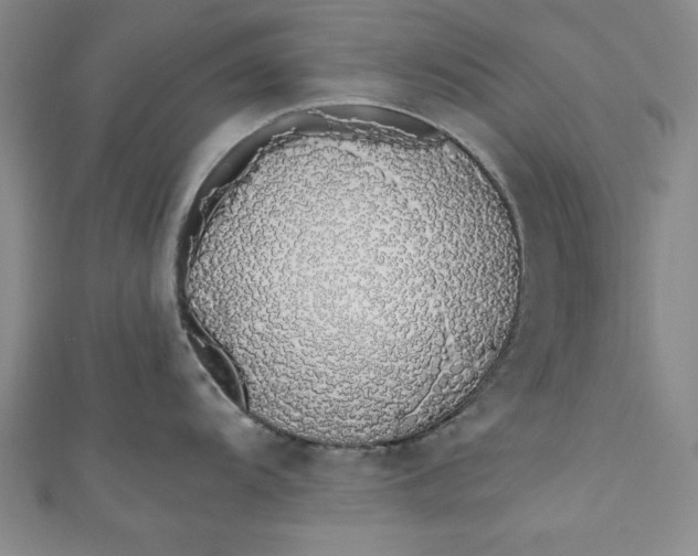 X0000110861104200907021410