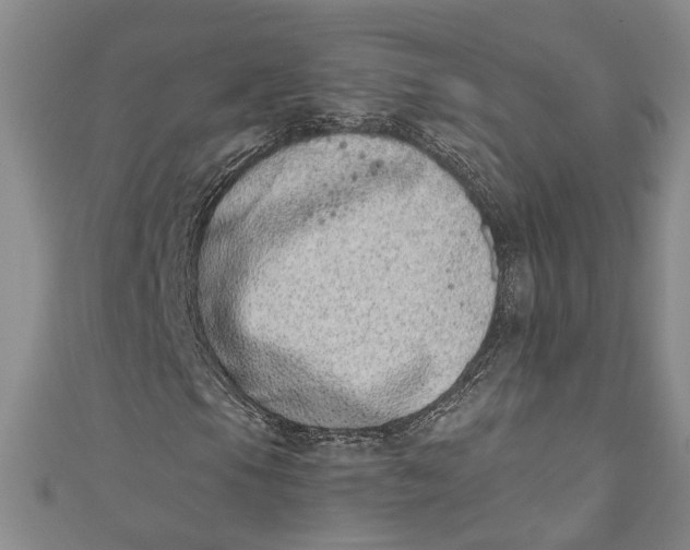 X0000110861105200907021410