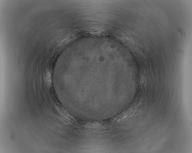 X0000110861106200907021410