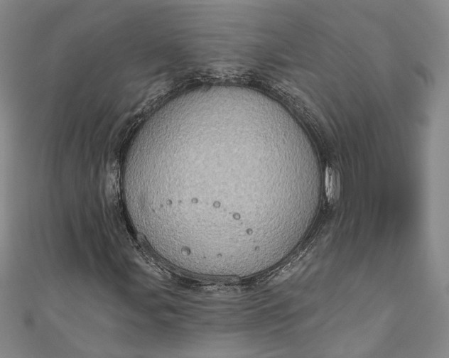 X0000110861107200907021410