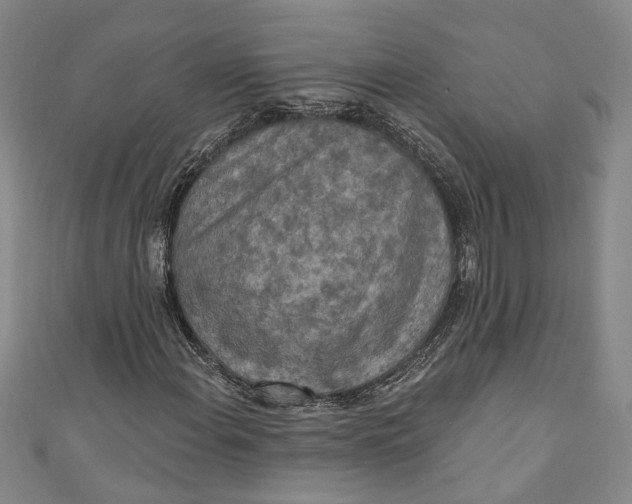 X0000110861108200907021410