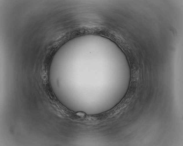 X0000110861109200907021410