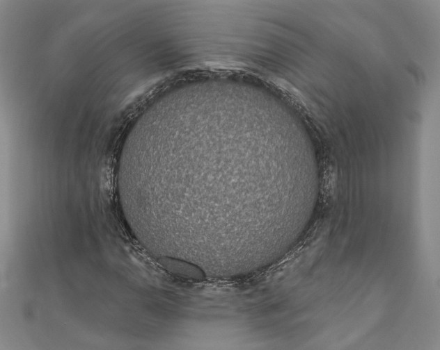 X0000110861110200907021410