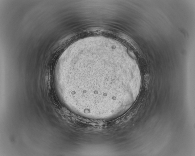 X0000110861111200907021410