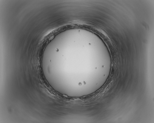 X0000110861112200907021410