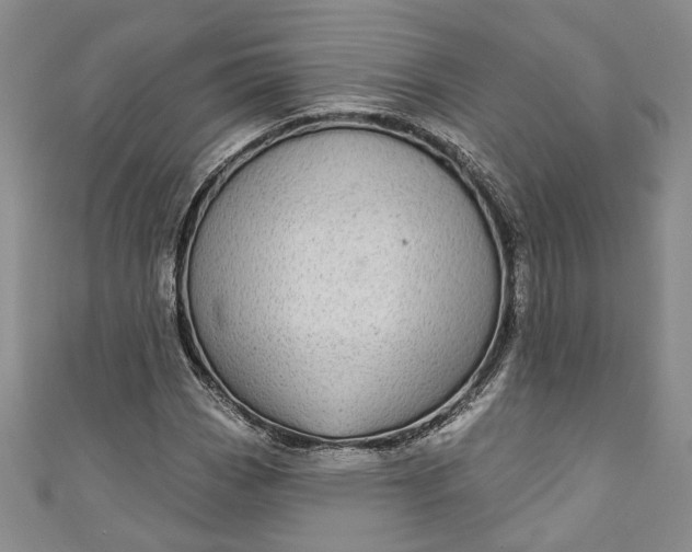 X0000110861113200907021410