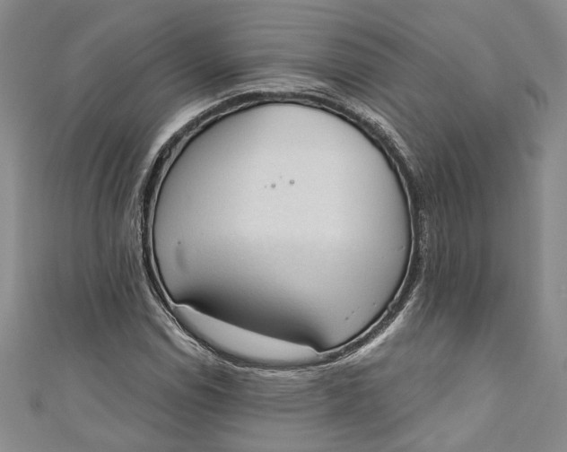 X0000110861114200907021410