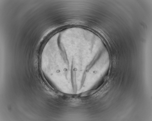 X0000110861115200907021410