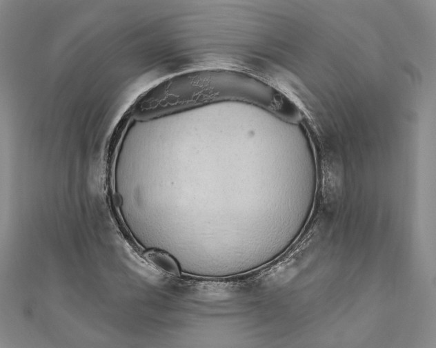 X0000110861116200907021410