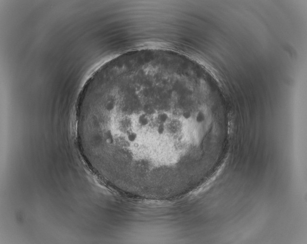 X0000110861117200907021410