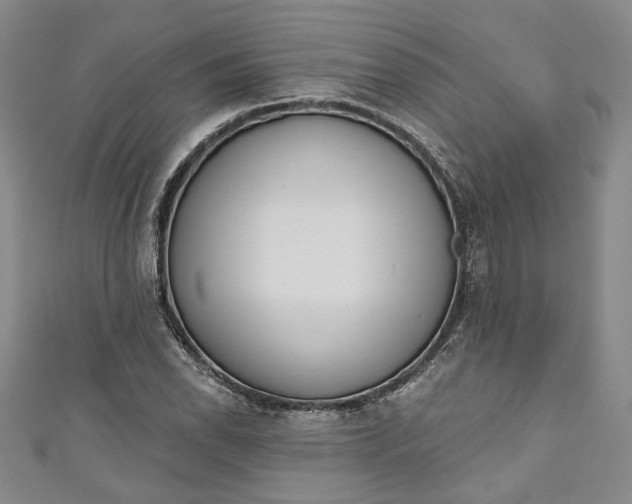 X0000110861118200907021410