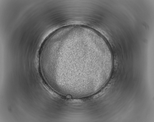 X0000110861119200907021410