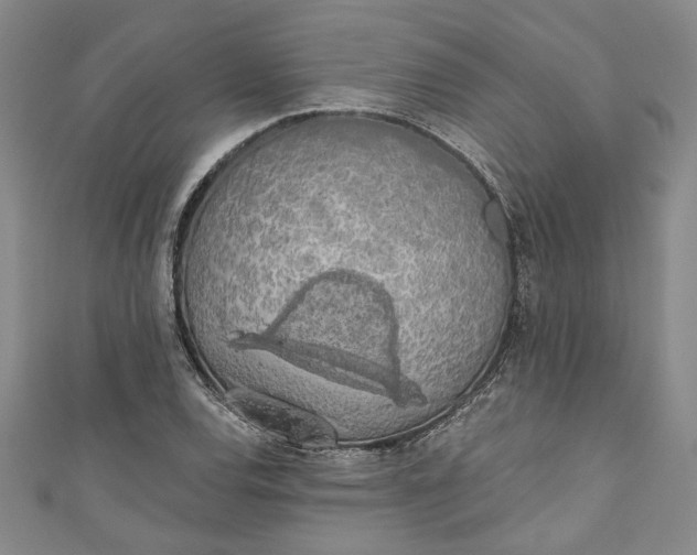 X0000110861120200907021410