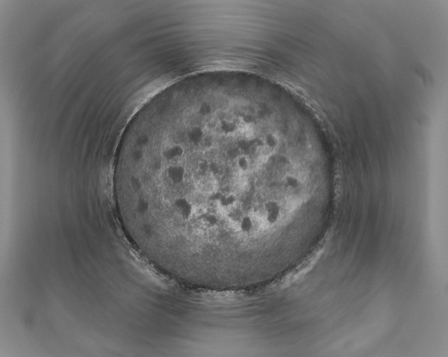 X0000110861121200907021410