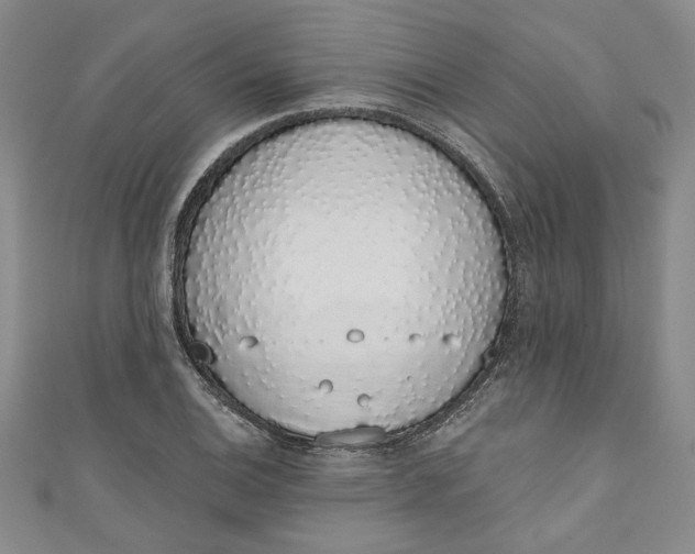 X0000110861124200907021410