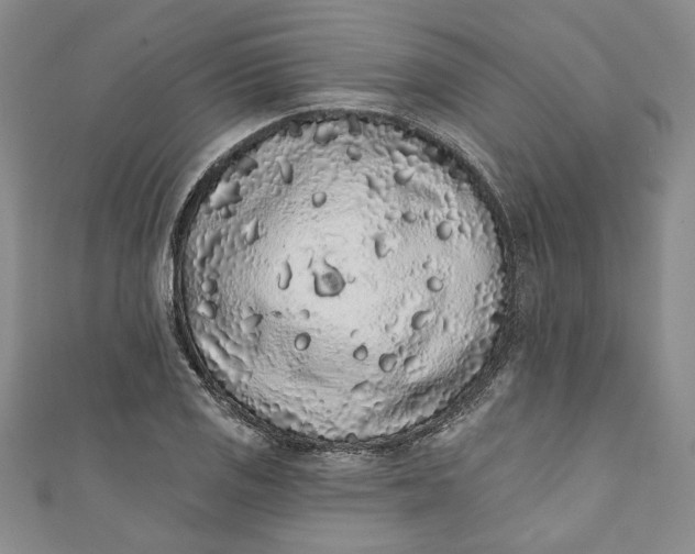 X0000110861125200907021410