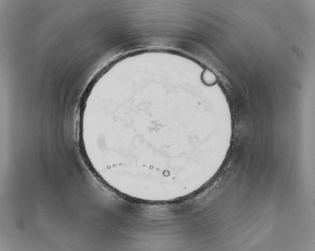 X0000110861126200907021410