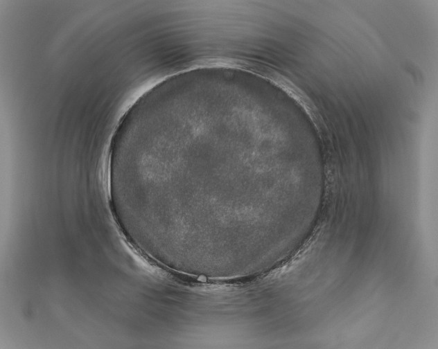 X0000110861127200907021410