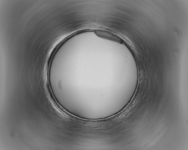 X0000110861128200907021410