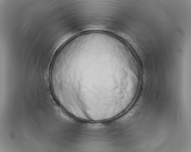 X0000110861129200907021410