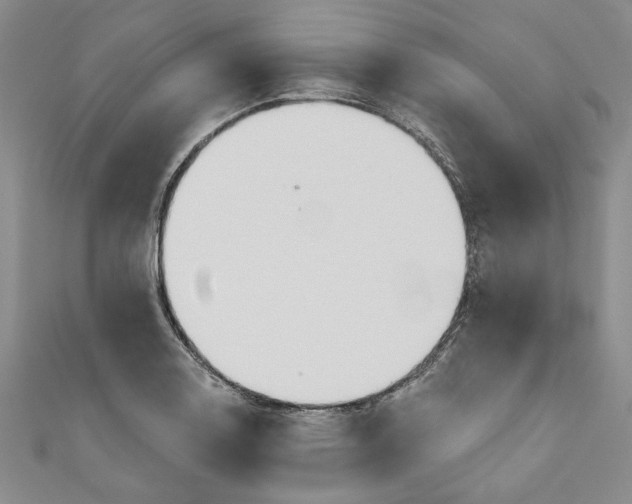 X0000110861130200907021410