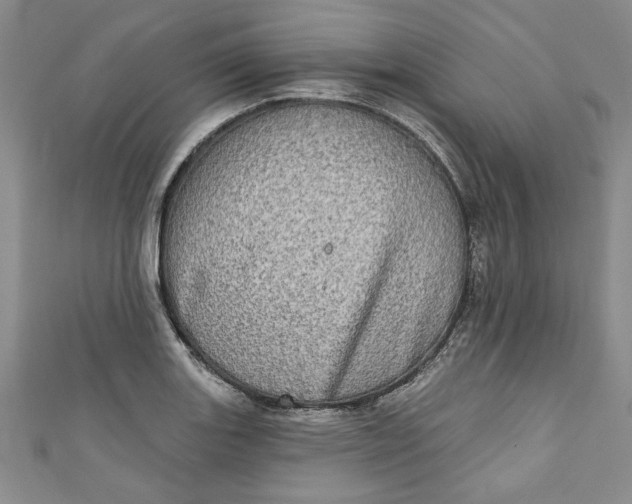 X0000110861131200907021410