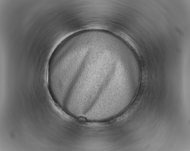 X0000110861132200907021410