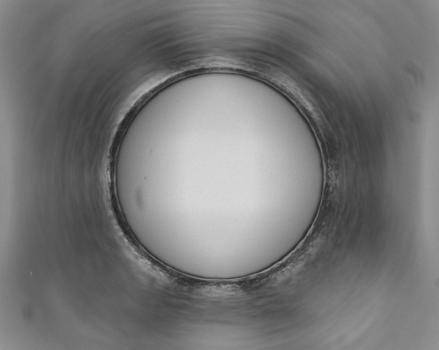 X0000110861133200907021410