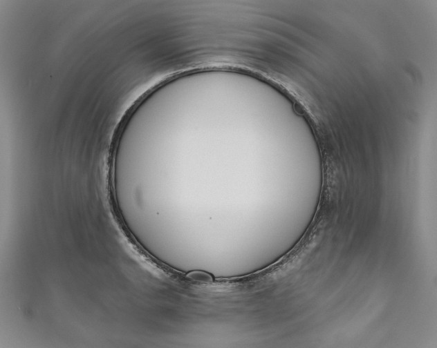 X0000110861134200907021410