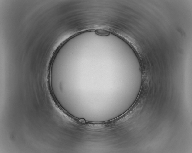 X0000110861135200907021410