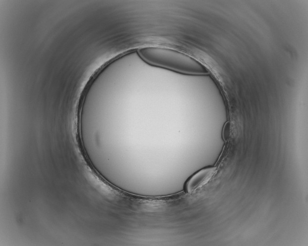 X0000110861136200907021410