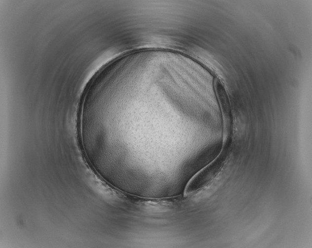 X0000110861138200907021410