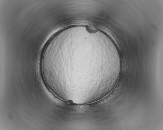 X0000110861139200907021410