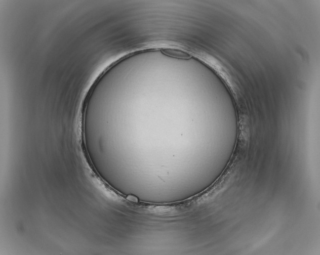 X0000110861140200907021410