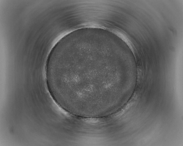 X0000110861141200907021410