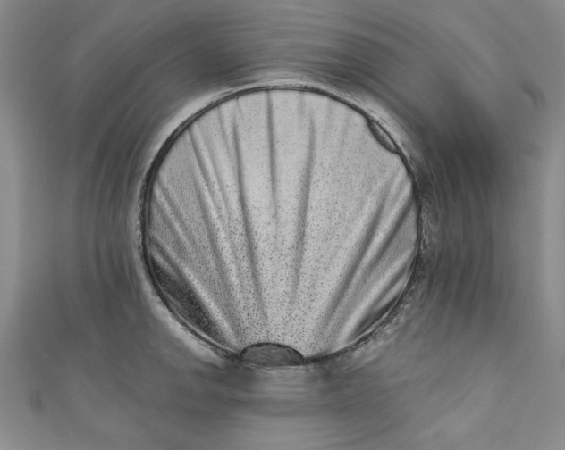 X0000110861142200907021410